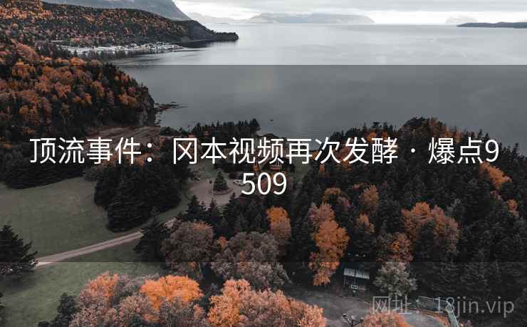 顶流事件：冈本视频再次发酵 · 爆点9509